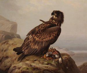 White-Tailed Eagle With Its Prey by Ferdinand Von Wright Oil Painting