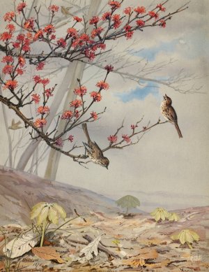 April by Fidelia Bridges Oil Painting