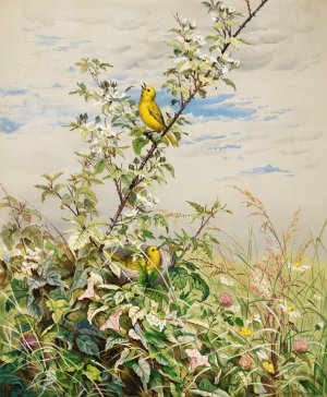 June by Fidelia Bridges Oil Painting
