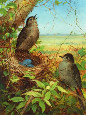 Thrushes Nest by Fidelia Bridges - Oil Painting Reproduction