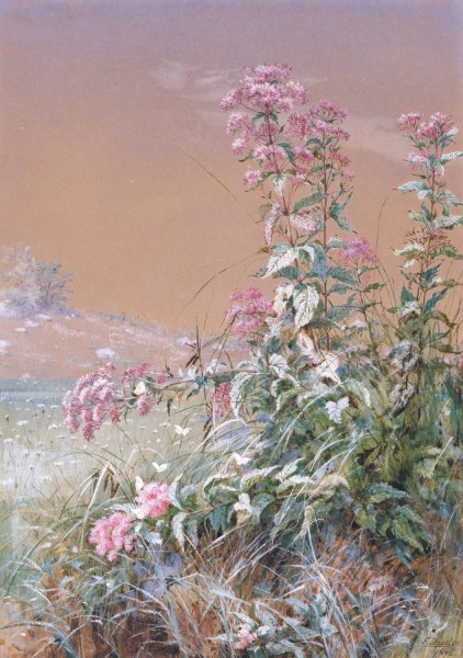 Untitled  by Fidelia Bridges - Hand-Painted Oil Painting Reproduction