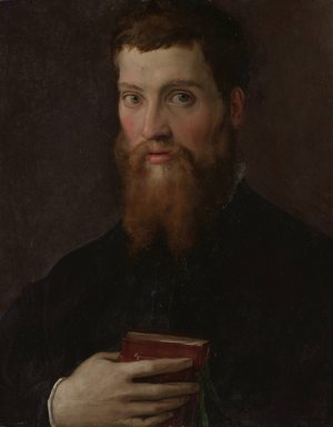 Carlo Rimbotti by Francesco De' Rossi Oil Painting