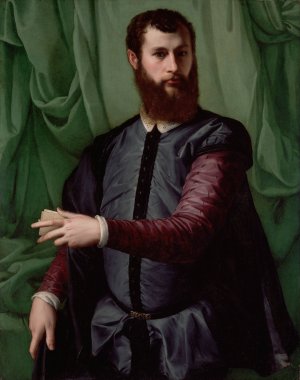 Portrait of a Man 2 by Francesco De' Rossi Oil Painting
