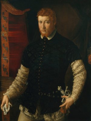 Portrait of a Man by Francesco De' Rossi Oil Painting