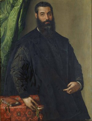 Portrait of a Man by Francesco De' Rossi Oil Painting