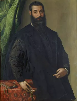 Portrait of a Man by Francesco De' Rossi Oil Painting