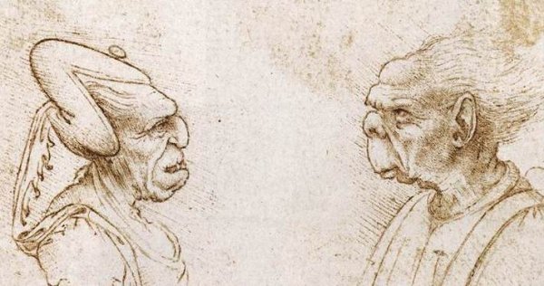 Main Product Photo of Two Grotesque Heads Painting by Francesco Melzi