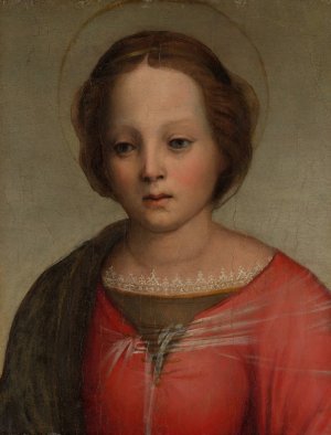 Head of the Madonna by Franciabigio Oil Painting