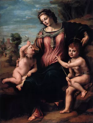 Madonna with Child and the Young St John Oil painting by Franciabigio