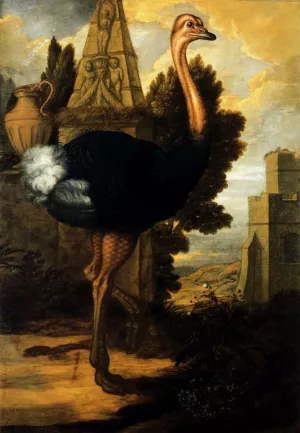 An Ostrich painting by Francis Barlow