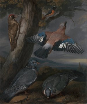 Jay, Green Woodpecker, Pigeons, and Redstart Landscape with a Green Woodpecker, a Jay, Two Pigeons, a Redstart, a Lizard and Two Frogs by Francis Barlow Oil Painting
