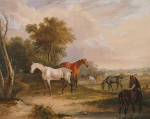 Horses Grazing; a Grey Stallion Grazing with Mares in a Meadow by Francis Calcraft Turner Oil Painting