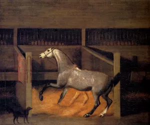 A Dappled Grey In A Stall by Francis Sartorius - Oil Painting Reproduction