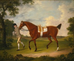 Sprightly, A Lady's Hack Held By A Groom In A Landscape by Francis Stringer Oil Painting
