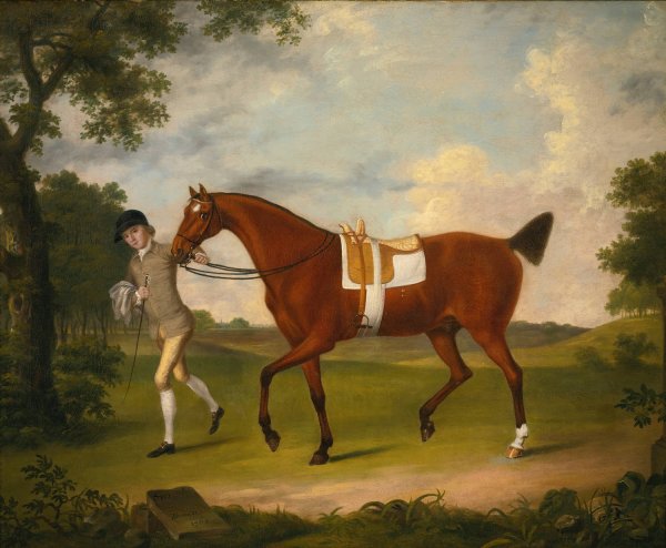 Sprightly, A Lady's Hack Held By A Groom In A Landscape  by Francis Stringer - Hand-Painted Oil Painting Reproduction