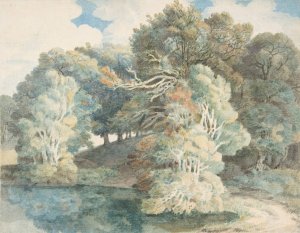 Trees by the Lake, Peamore Park, near Exeter, Devon by Francis Towne Oil Painting
