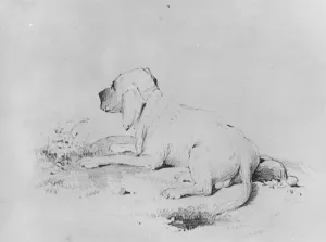 Dog from McGuire Scrapbook by Francis William Edmonds Oil Painting