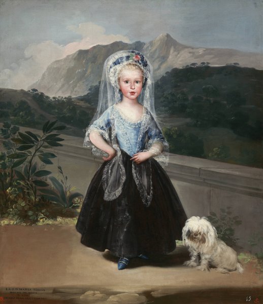 Maria Teresa de Borbon y Vallabriga,later Condesa de Chinchon  by Francisco De Goya - Hand-Painted Oil Painting Reproduction