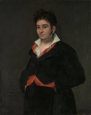 Portrait of Don Ramon Satue by Francisco De Goya Oil Painting