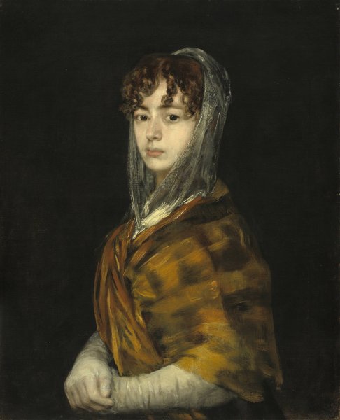Senora Sabasa Garcia  by Francisco De Goya - Hand-Painted Oil Painting Reproduction