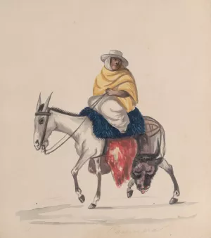 A butcher riding a donkey by Francisco Fierro Oil Painting