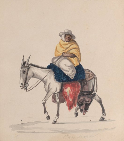 A butcher riding a donkey  by Francisco Fierro - Hand-Painted Oil Painting Reproduction