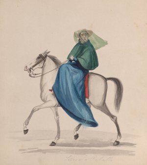 An elegantly dressed woman on horseback by Francisco Fierro Oil Painting