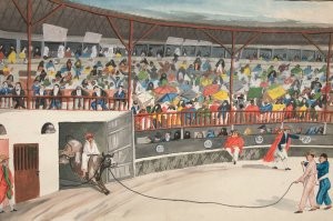 Bull Fight by Francisco Fierro Oil Painting