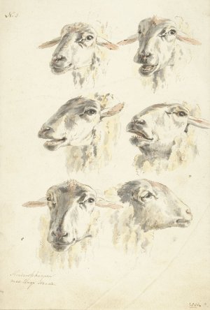 Studieblad met zes schaapskoppen by Franciscus Andreas Milatz Oil Painting