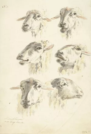 Studieblad met zes schaapskoppen by Franciscus Andreas Milatz Oil Painting