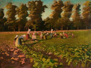 Harvesting beetroots by Franciszek Lubienski Oil Painting