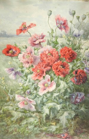 Pavots by Francois Rivoire Oil Painting