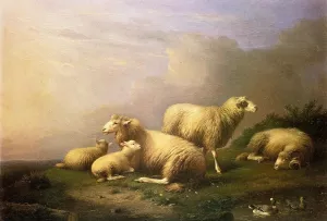 A Flock of Sheep Resting by a Pond