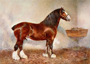 Clydesdale Stallion, Prince of Albion by Frank Babbage Oil Painting