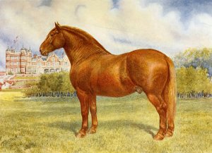Suffolk Sire, Prince Wedgewood by Frank Babbage Oil Painting
