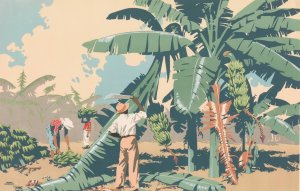 Cutting Bananas In Jamaica by Frank Newbould Oil Painting