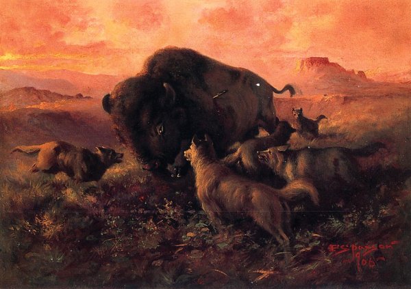 Main Product Photo of The Wounded Buffalo Painting by Frank Tenney Johnson