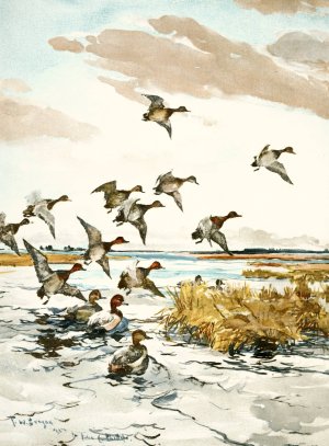 Red-Heads Coming In by Frank Weston Benson   Oil Painting