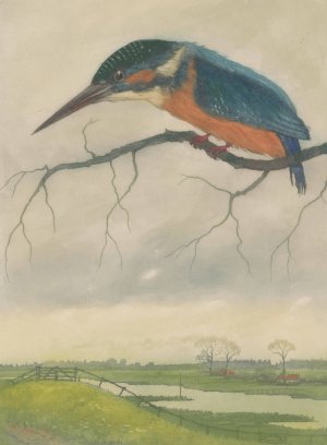 IJsvogel op een tak in een weidelandschap by Frans Everbag Oil Painting