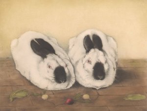 Twee ruskonijnen by Frans Everbag Oil Painting
