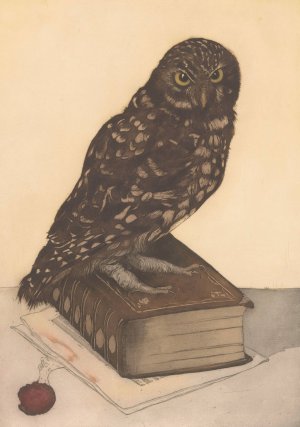 Uil zittend op een boek by Frans Everbag Oil Painting