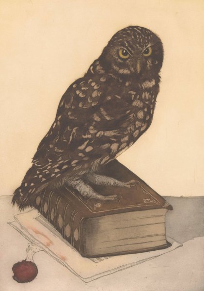 Uil zittend op een boek  by Frans Everbag - Hand-Painted Oil Painting Reproduction