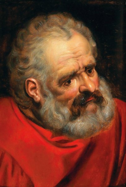 A Bearded Old Man In A Red Cloak by Frans Floris - Hand-Painted Oil Painting Reproduction