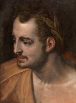 A Roman Emperor by Frans Floris Oil Painting