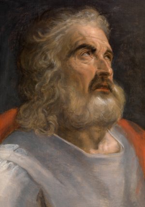 Man with a Beard by Frans Floris Oil Painting