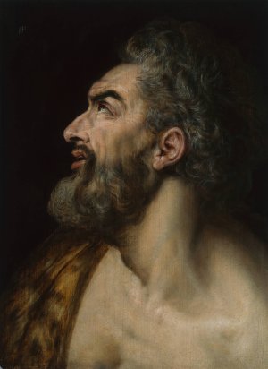 Study Head of a Bearded Man by Frans Floris Oil Painting