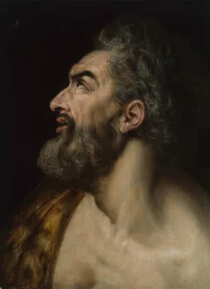 Study Head of a Bearded Man Oil painting by Frans Floris