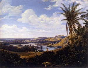 Brazilian Landscape with Anteater