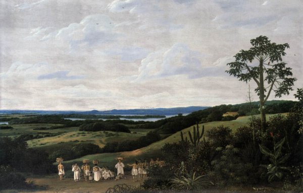 Brazilian Landscape by Frans Post - Hand-Painted Oil Painting Reproduction
