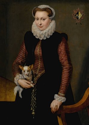 Portrait of a young woman, aged 17 by Frans Pourbus The Elder Oil Painting